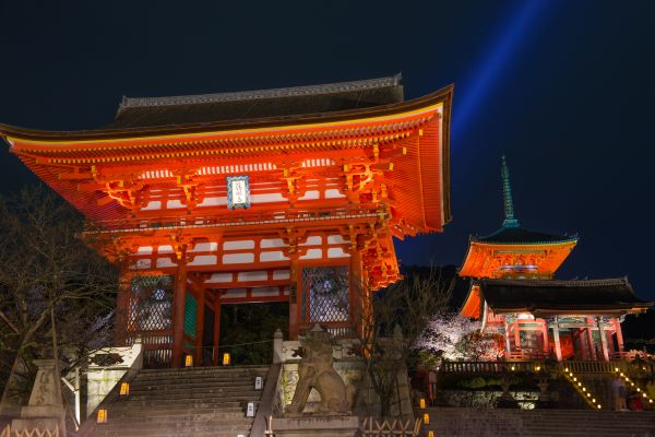 Temple Light Replacement